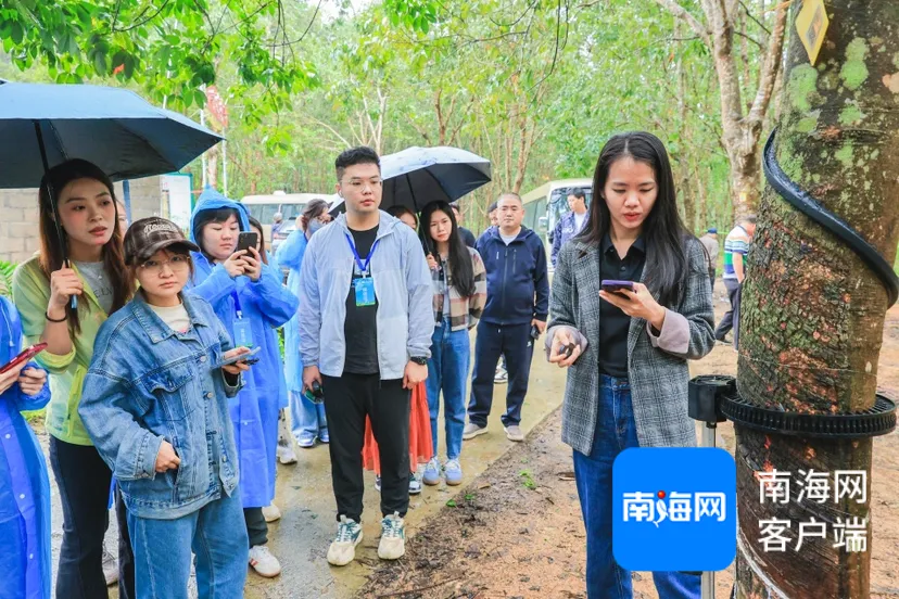 全国网媒海垦行 | 走进海胶智造阳江实验基地